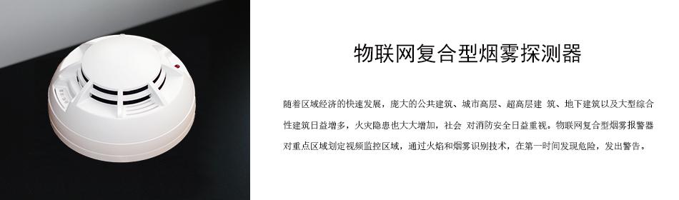 随着区域经济的快速发展，庞大的公共建筑、城市高层、超高层建 筑、地下建筑以及大型综合性建筑日益增多，火灾隐患也大大增加，社会 对消防安全日益重视。物联网复合型烟雾报警器对重点区域划定视频监控区域，通过火焰和烟雾识别技术，在第一时间发现危险，发出警告。